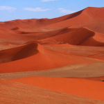 The Role Of A Dune Sand Supplier in Large-Scale Land Reclamation