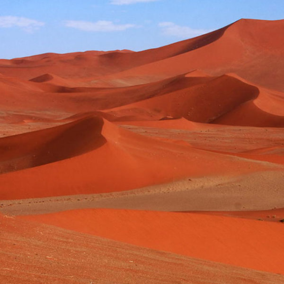 The Role Of A Dune Sand Supplier in Large-Scale Land Reclamation